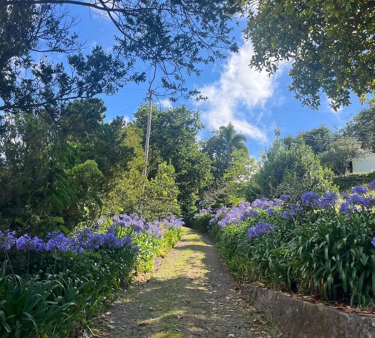 Villa Natural Oasis With Panoramic View & Bio-Diverse 9 950M2 Garden Funchal   Funchal (Madeira)
