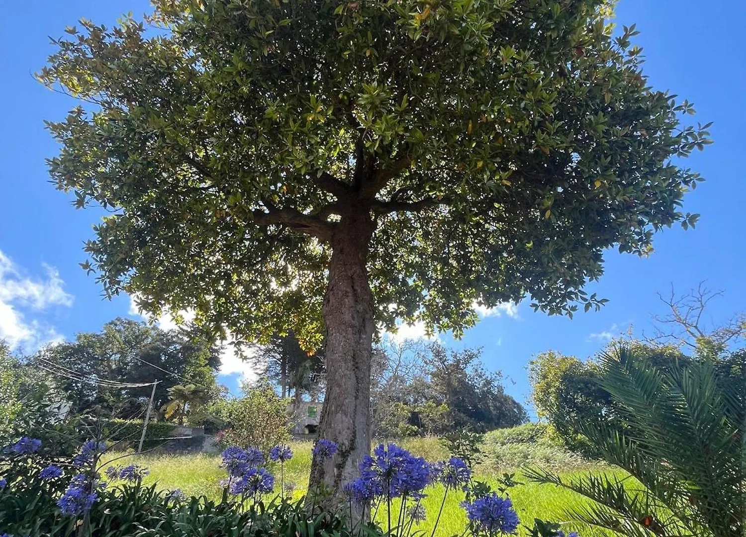 Villa Natural Oasis With Panoramic View & Bio-Diverse 9 950M2 Garden Funchal